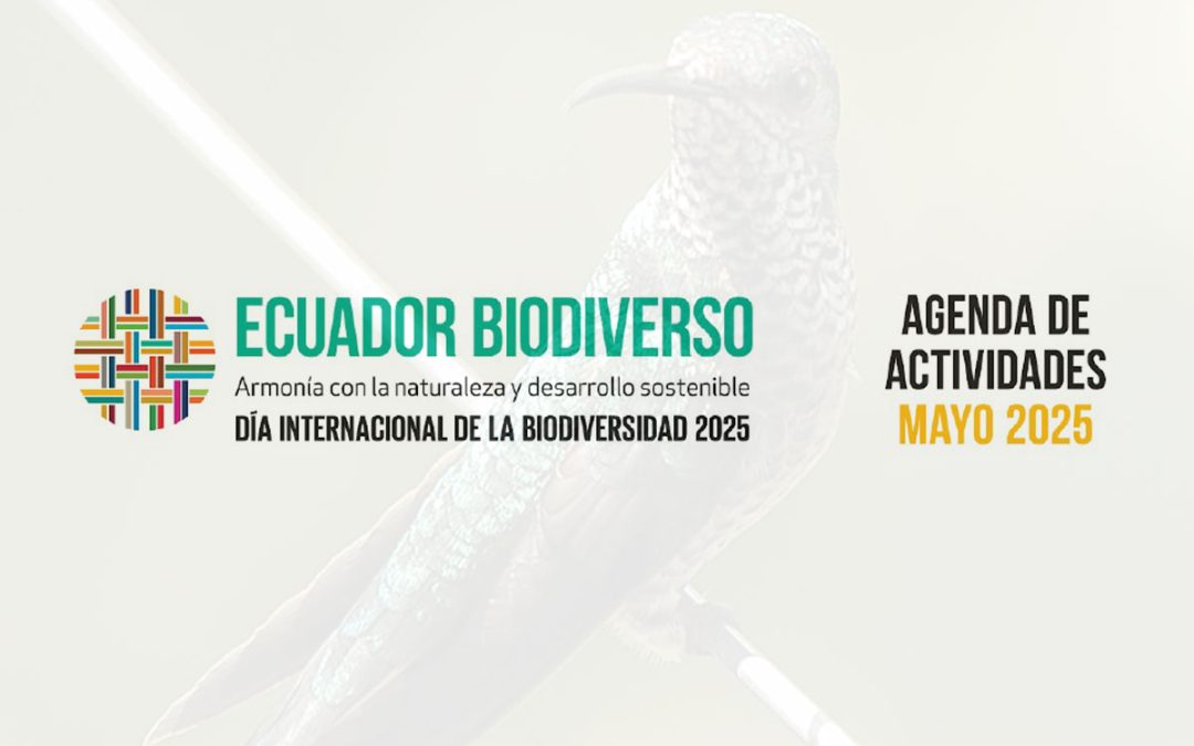 Agenda de Actividades mayo 2025